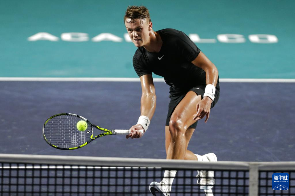 引入更加严 引入更加严